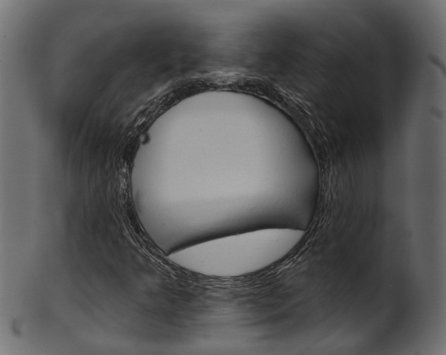 X0000102041349200807181020
