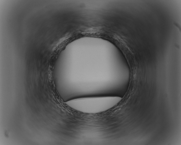 X0000102041350200807181020