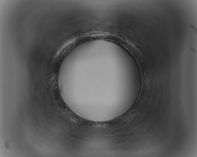 X0000102041351200807181020