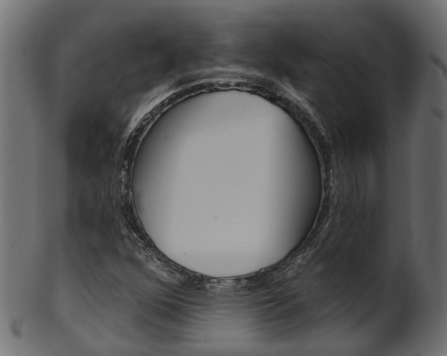 X0000102041352200807181020