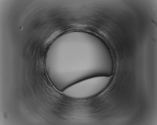 X0000102041354200807181020