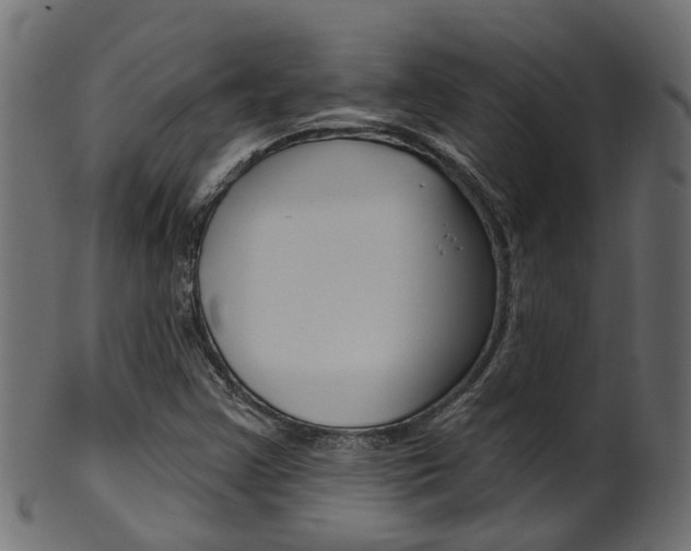 X0000102041355200807181020
