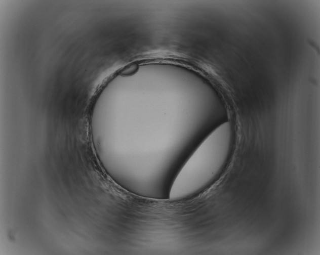X0000102041358200807181020