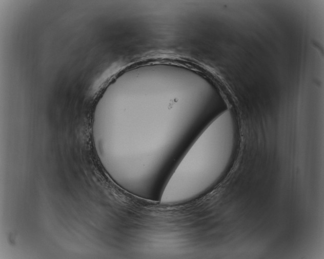 X0000102041359200807181020