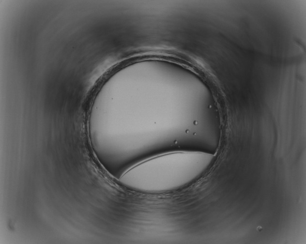 X0000102041360200807181020