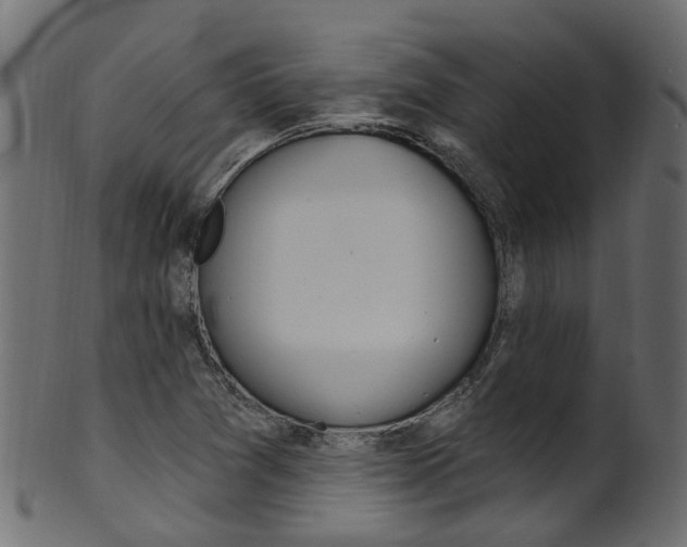 X0000102041361200807181020