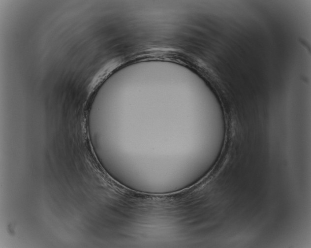 X0000102041362200807181020