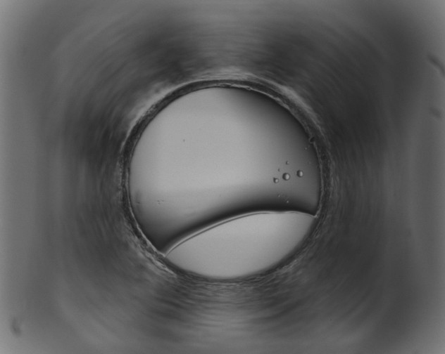 X0000102041364200807181020