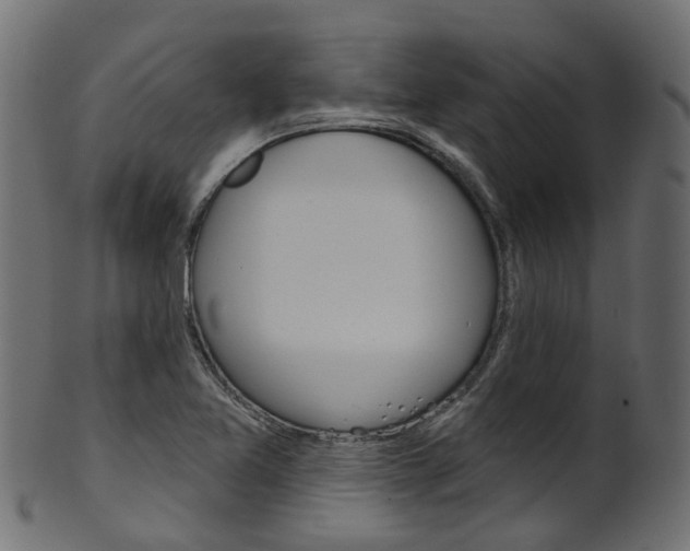 X0000102041365200807181020