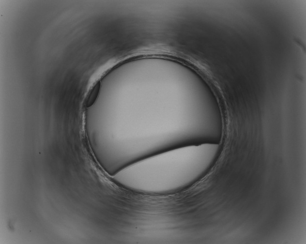 X0000102041366200807181020