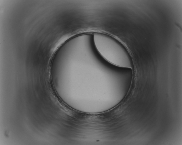 X0000102041367200807181020