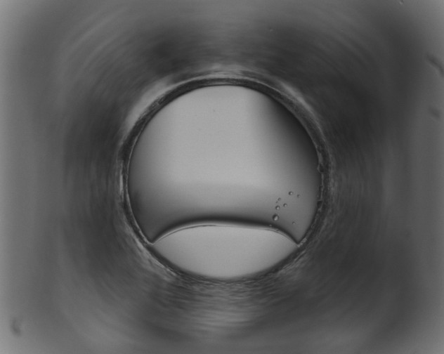 X0000102041368200807181020