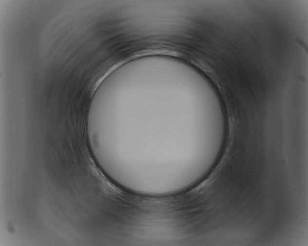 X0000102041369200807181020
