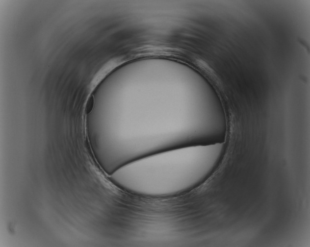 X0000102041370200807181020