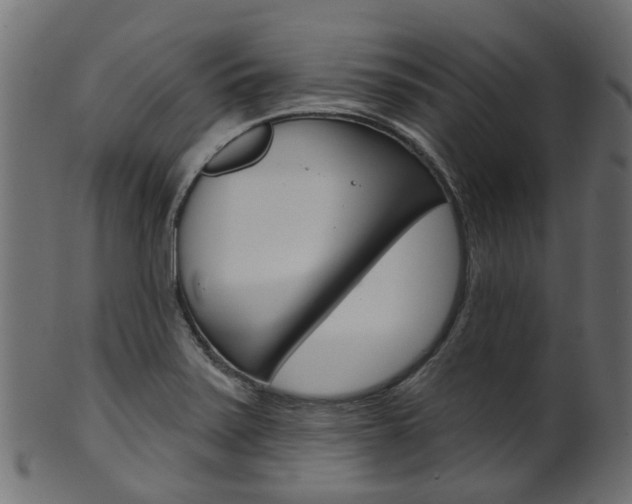 X0000102041371200807181020