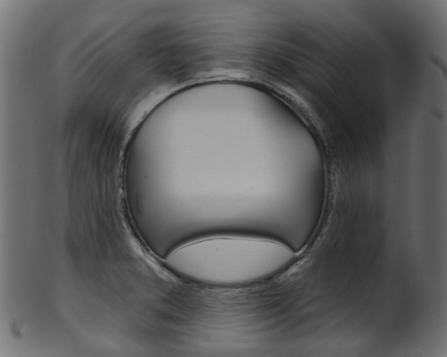 X0000102041373200807181020