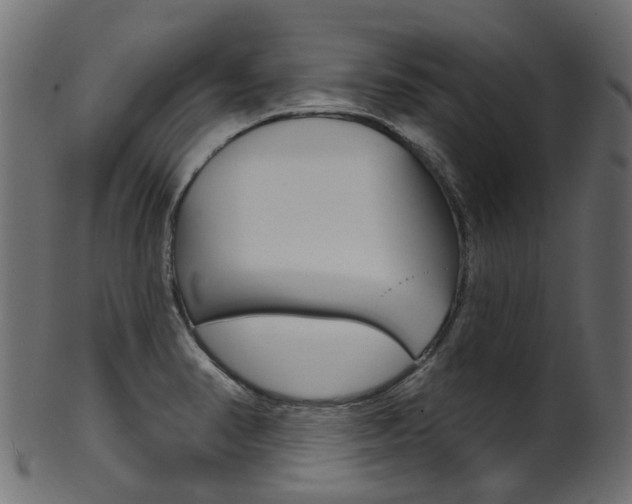 X0000102041374200807181020