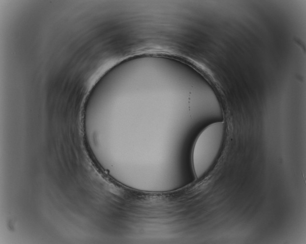 X0000102041375200807181020