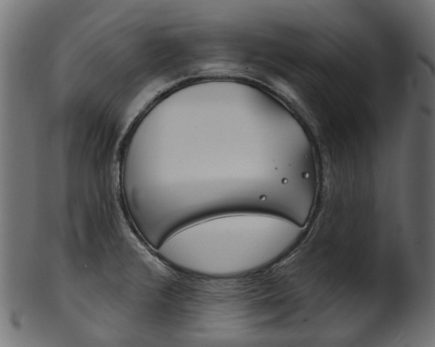 X0000102041376200807181020