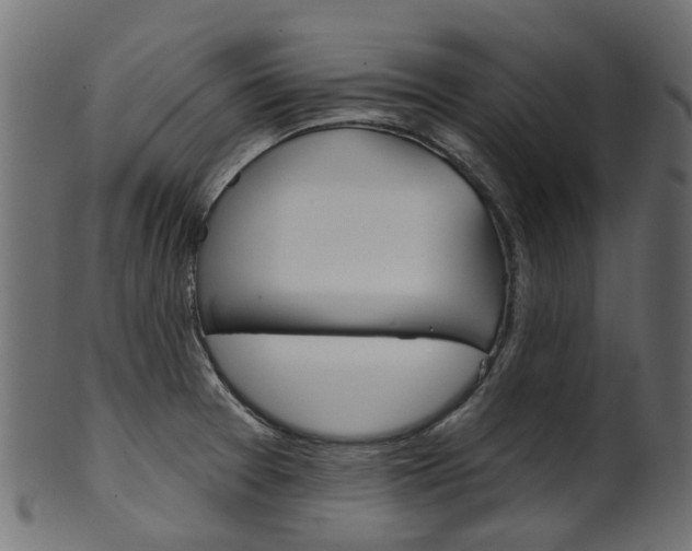 X0000102041377200807181020