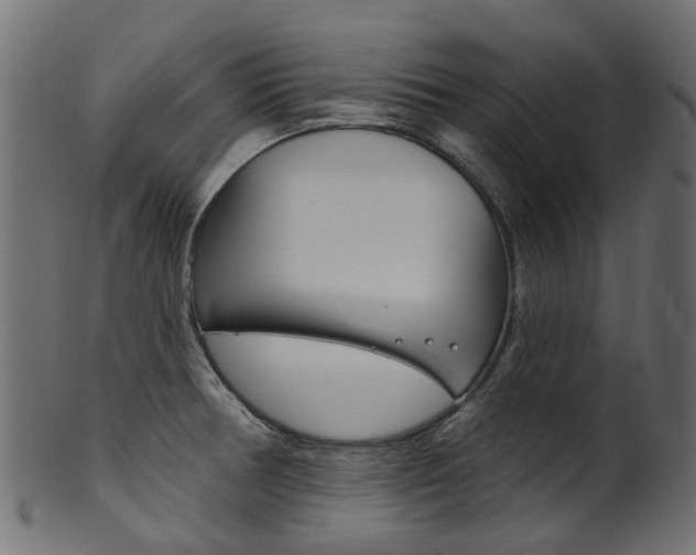 X0000102041378200807181020