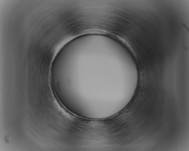 X0000102041379200807181020