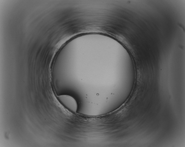 X0000102041380200807181020