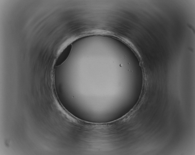 X0000102041381200807181019
