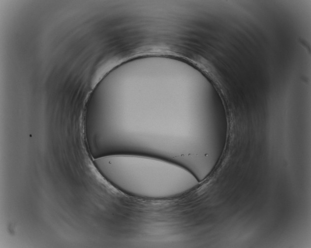 X0000102041382200807181019