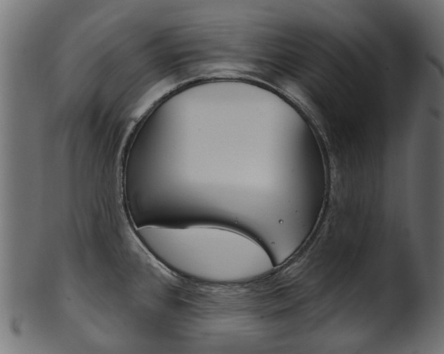 X0000102041384200807181019