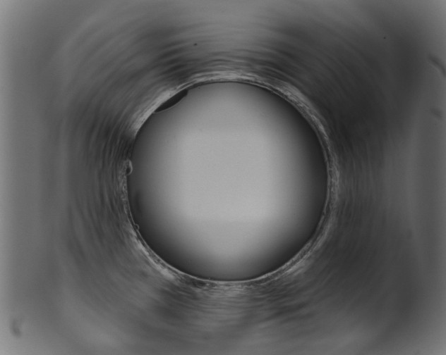 X0000102041385200807181019