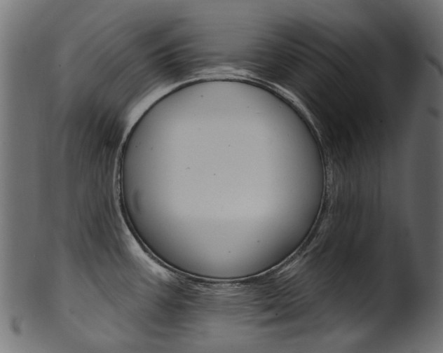 X0000102041387200807181019