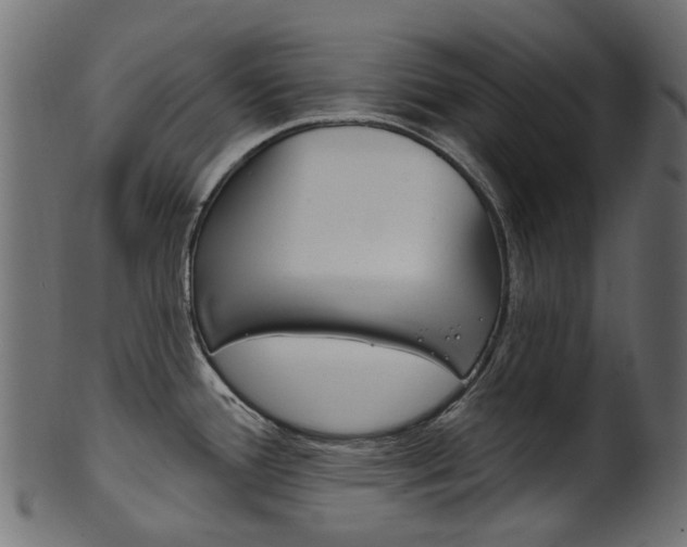 X0000102041388200807181019