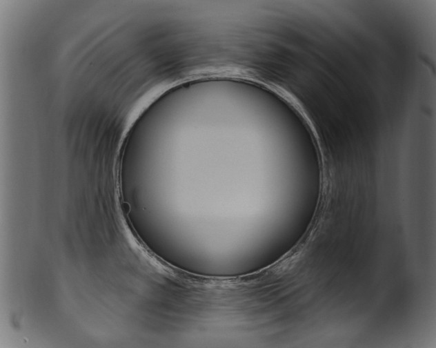 X0000102041389200807181019