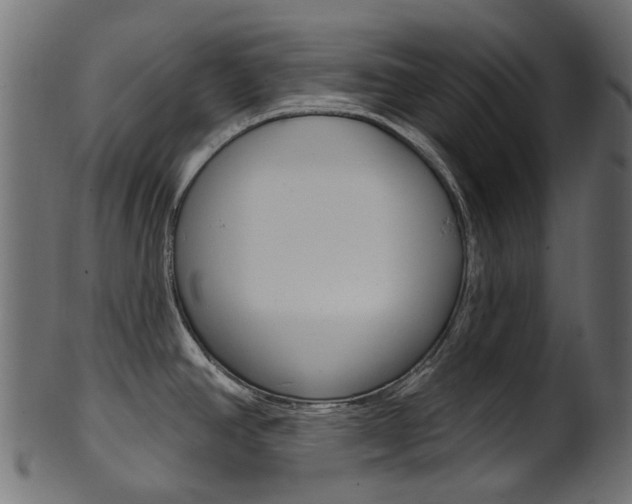X0000102041390200807181019