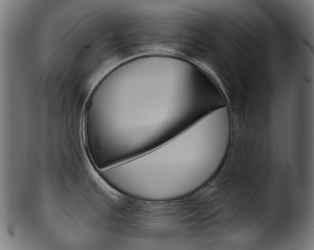 X0000102041391200807181019
