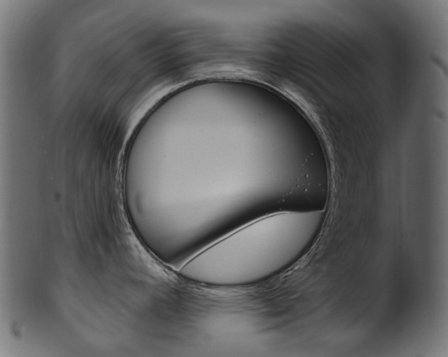 X0000102041392200807181019