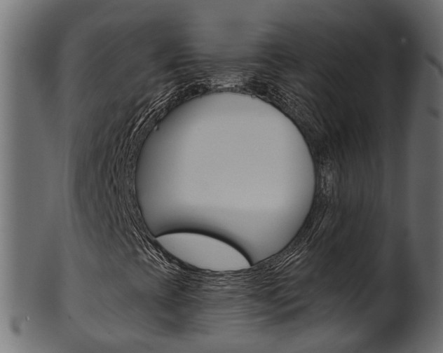 X0000102041393200807181018