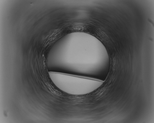 X0000102041394200807181019
