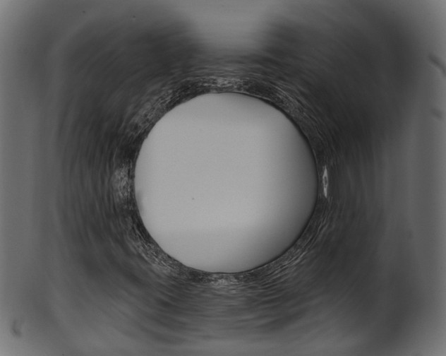 X0000102041395200807181019
