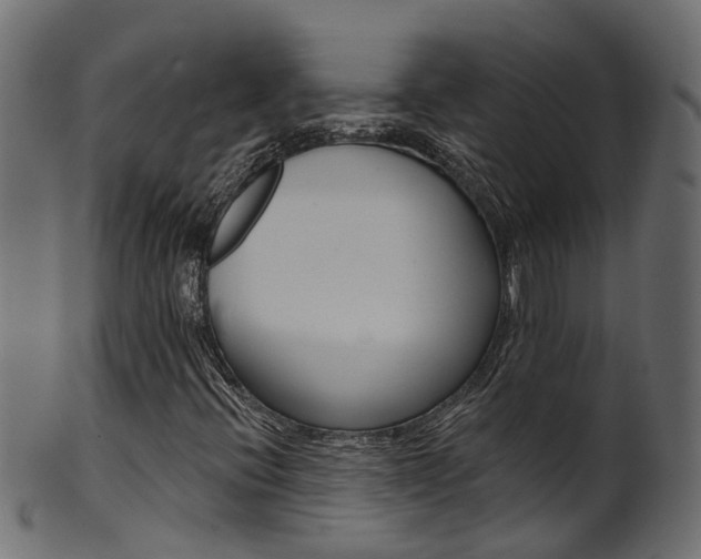 X0000102041396200807181019