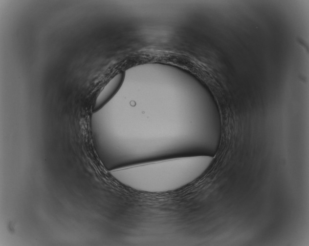 X0000102041397200807181019