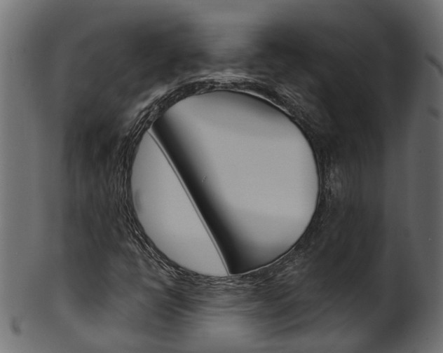 X0000102041398200807181019
