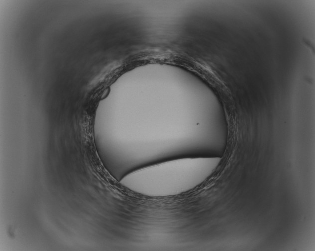 X0000102041399200807181019