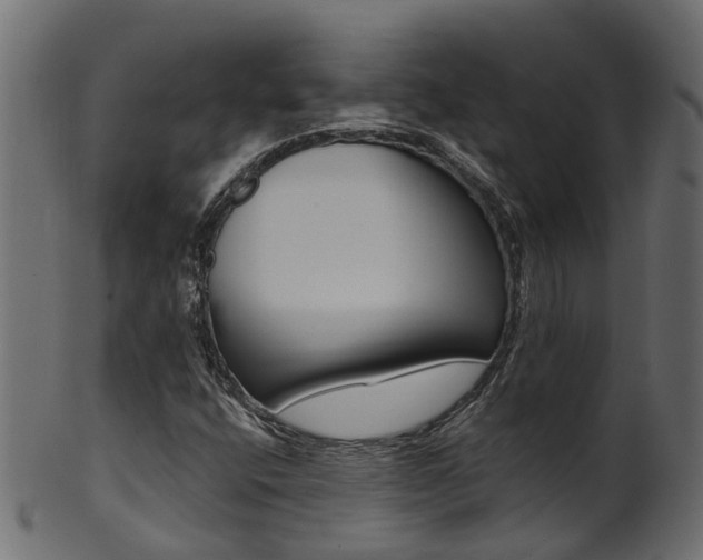 X0000102041400200807181019