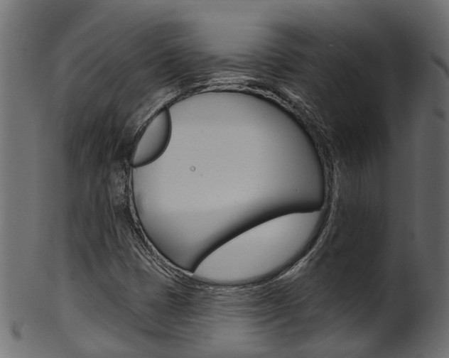 X0000102041401200807181019