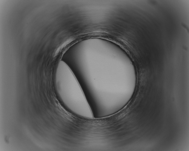 X0000102041402200807181019
