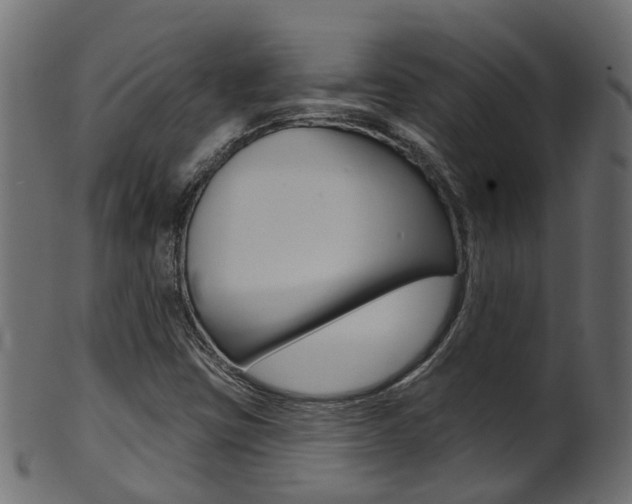 X0000102041403200807181019