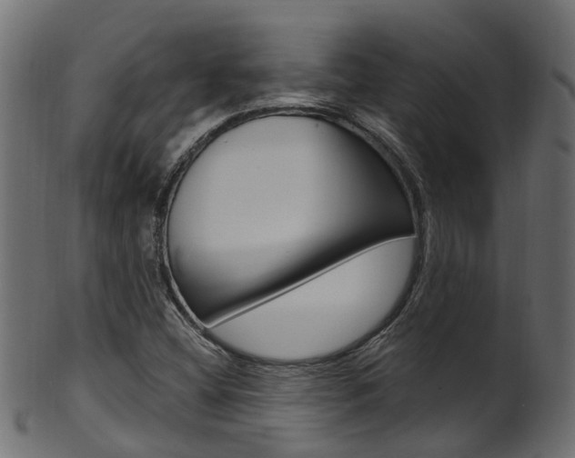X0000102041404200807181019