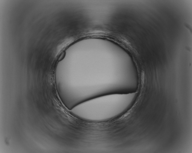 X0000102041405200807181019
